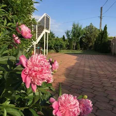Tatil Evi Family Csopak